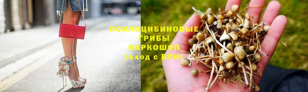 хмурый Армянск