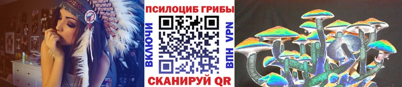 магазин Братск Псилоцибиновые грибы ЛСД